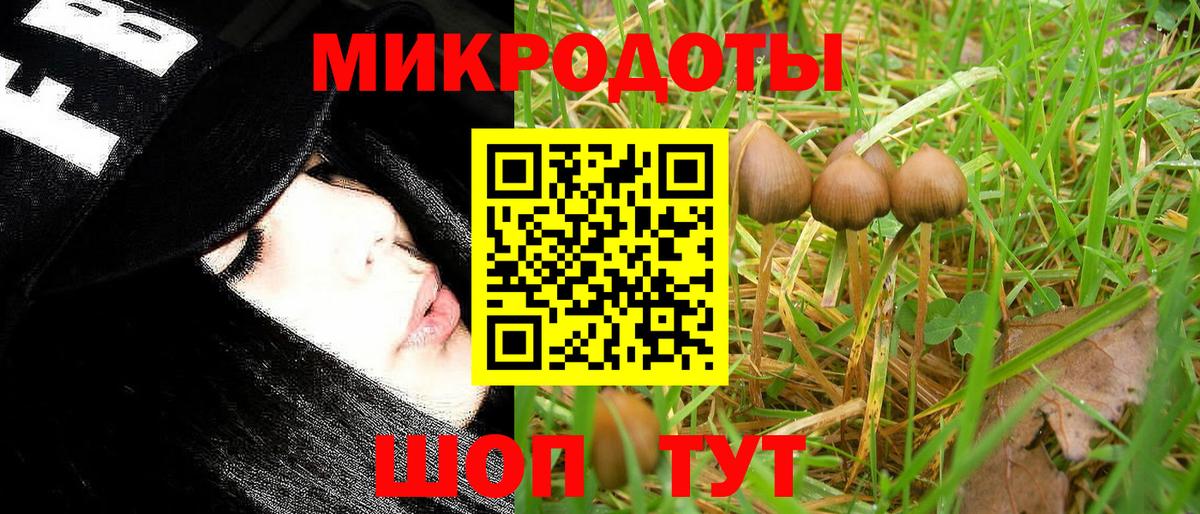 Псилоцибиновые грибы мицелий Тамбов