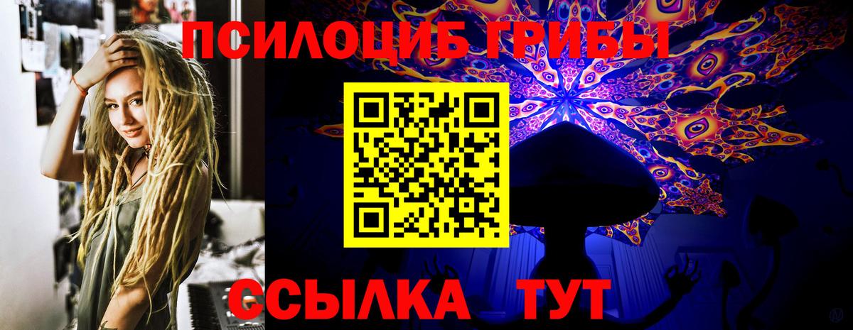 Галлюциногенные грибы мицелий  Вход с VPN  Тамбов 